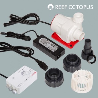 Reef Octopus - VarioS-6